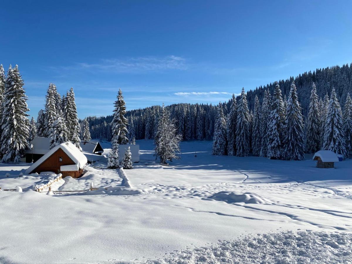 Villa Chalet Ivi Zgornje Gorje Exterior foto