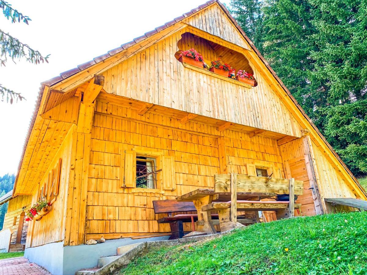 Villa Chalet Ivi Zgornje Gorje Exterior foto